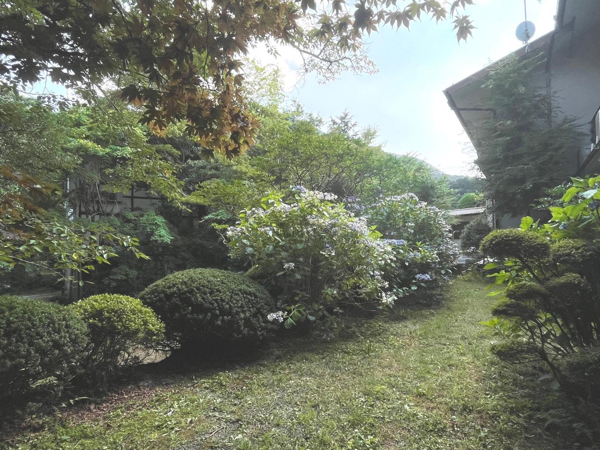Hotel Mitake Hakone Exteriér fotografie